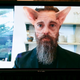 Image for article titled ‘Can You Trust Anything You See?’ Says Jack Dorsey, Shapeshifting Into Cat During Congressional Testimony On Misinformation
